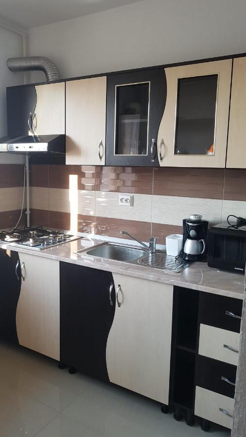Apartament Teo Caransebeş Extérieur photo